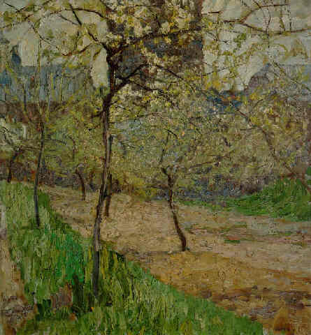 Walter Ophey